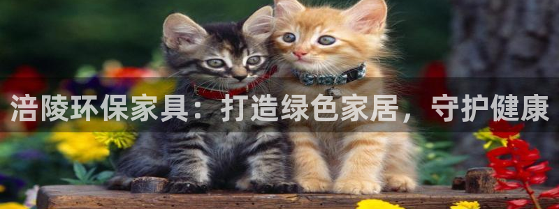 杏耀平台手机