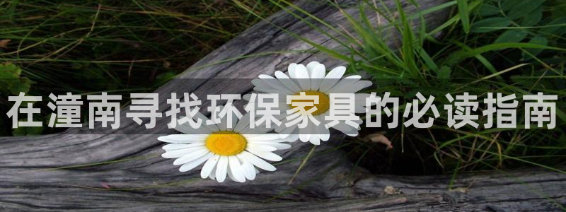 杏耀注册登录代理