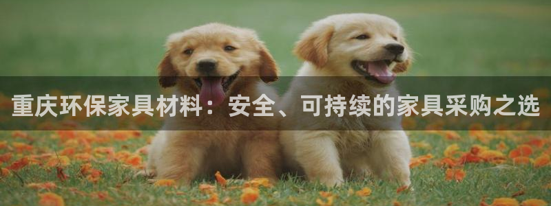 杏耀平台待遇