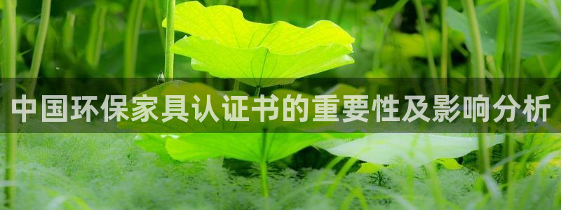杏耀官方