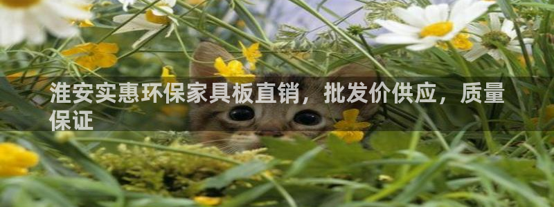 杏耀平台测速地址