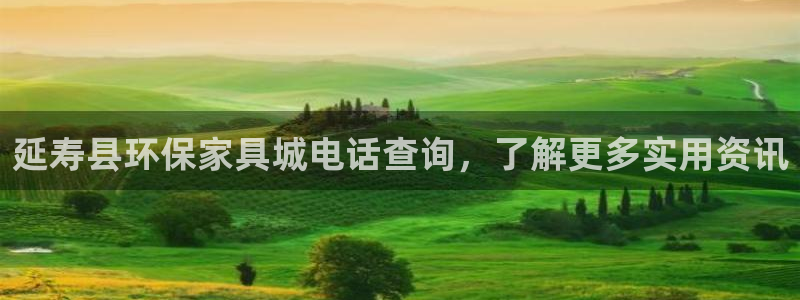 杏耀平台代理怎么赚钱快