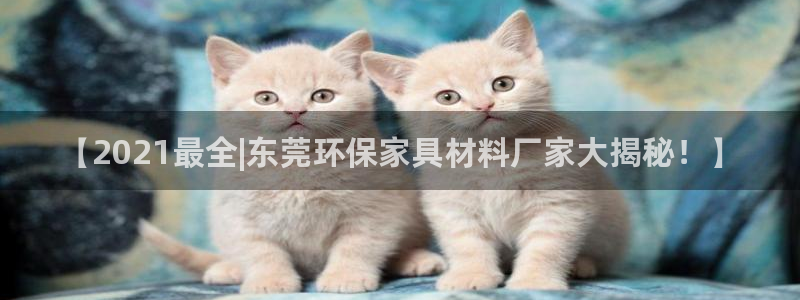 杏耀平台官网下载