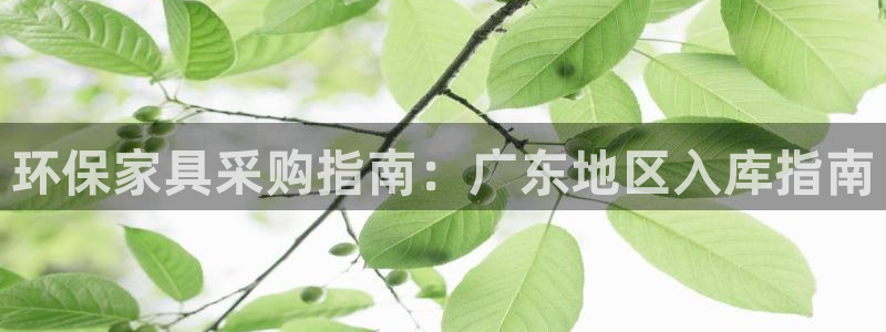 杏耀登入测速