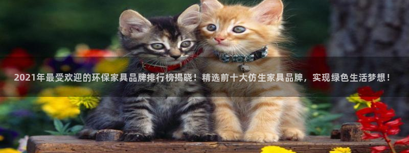 杏耀手机登录线路测速