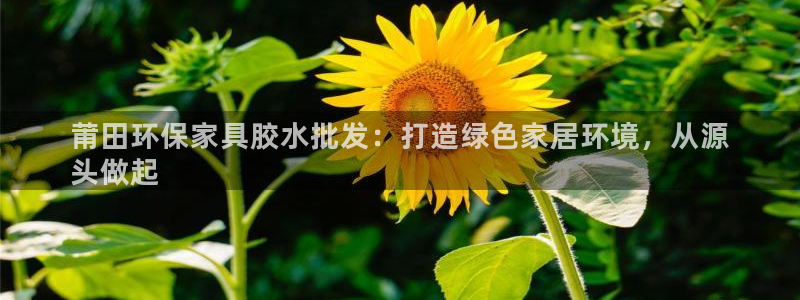 杏耀代理1980