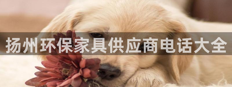 杏耀平台是真的吗