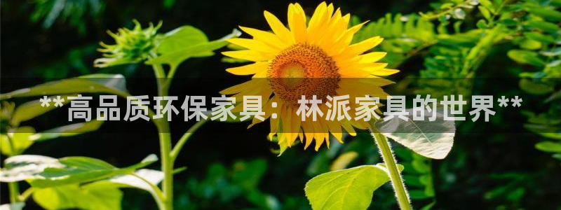 杏耀测速注册