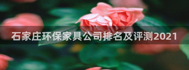 杏耀平台登录入口