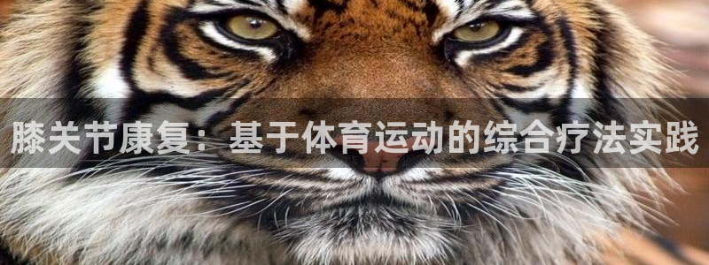 哈哈体育下载
