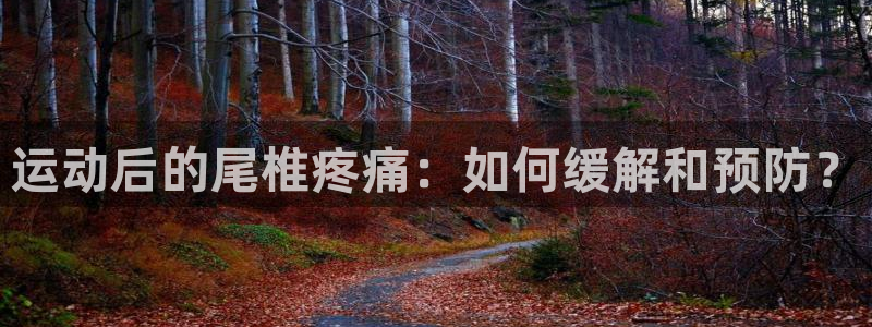 哈哈体育下载