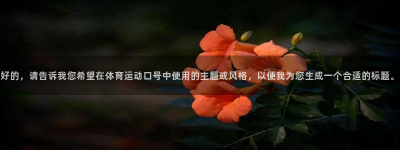 哈哈体育十年